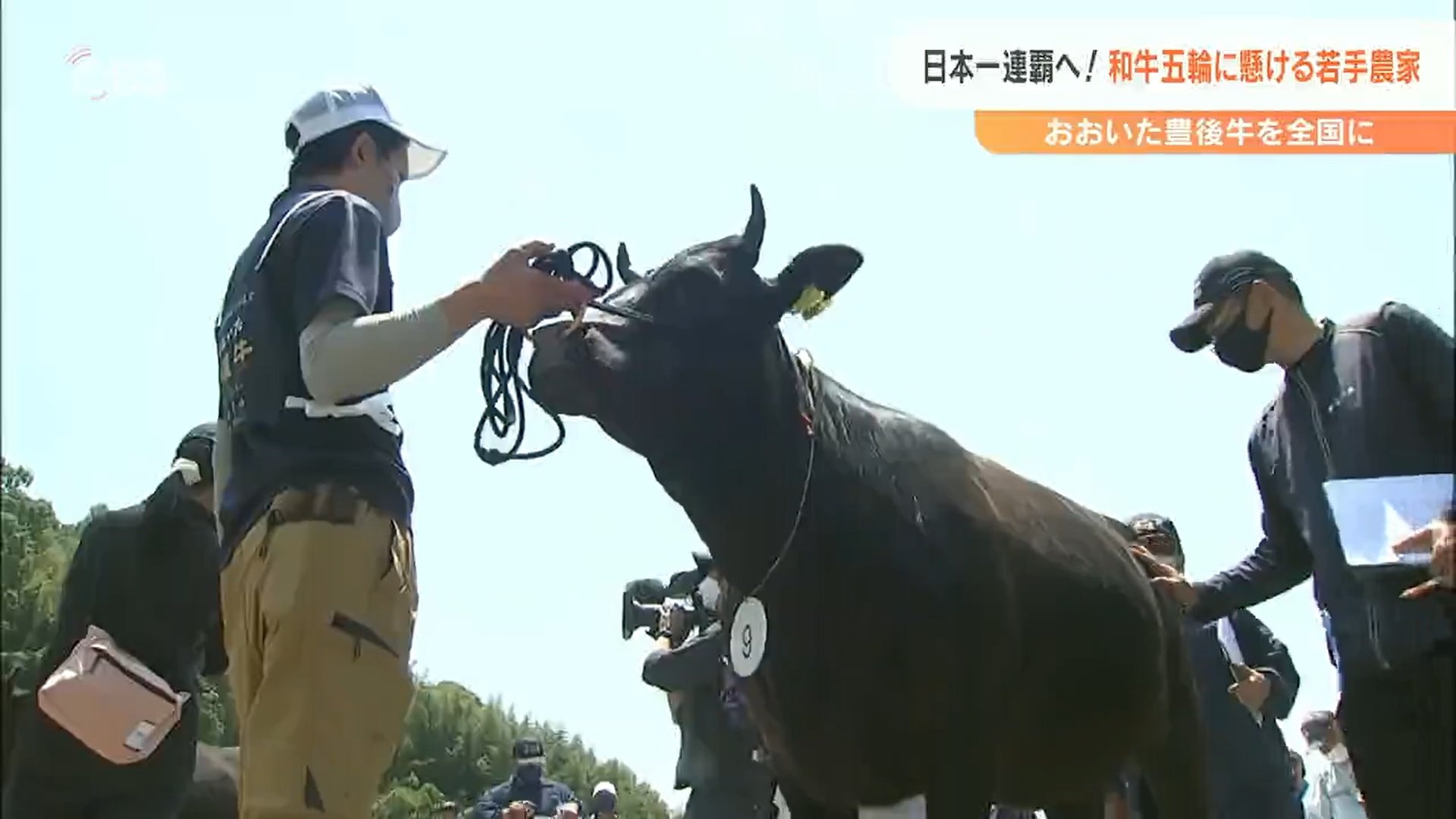 日本一連覇へ おおいた豊後牛を全国に 和牛五輪にかける若手農家 大分 Tbs News Dig 1ページ