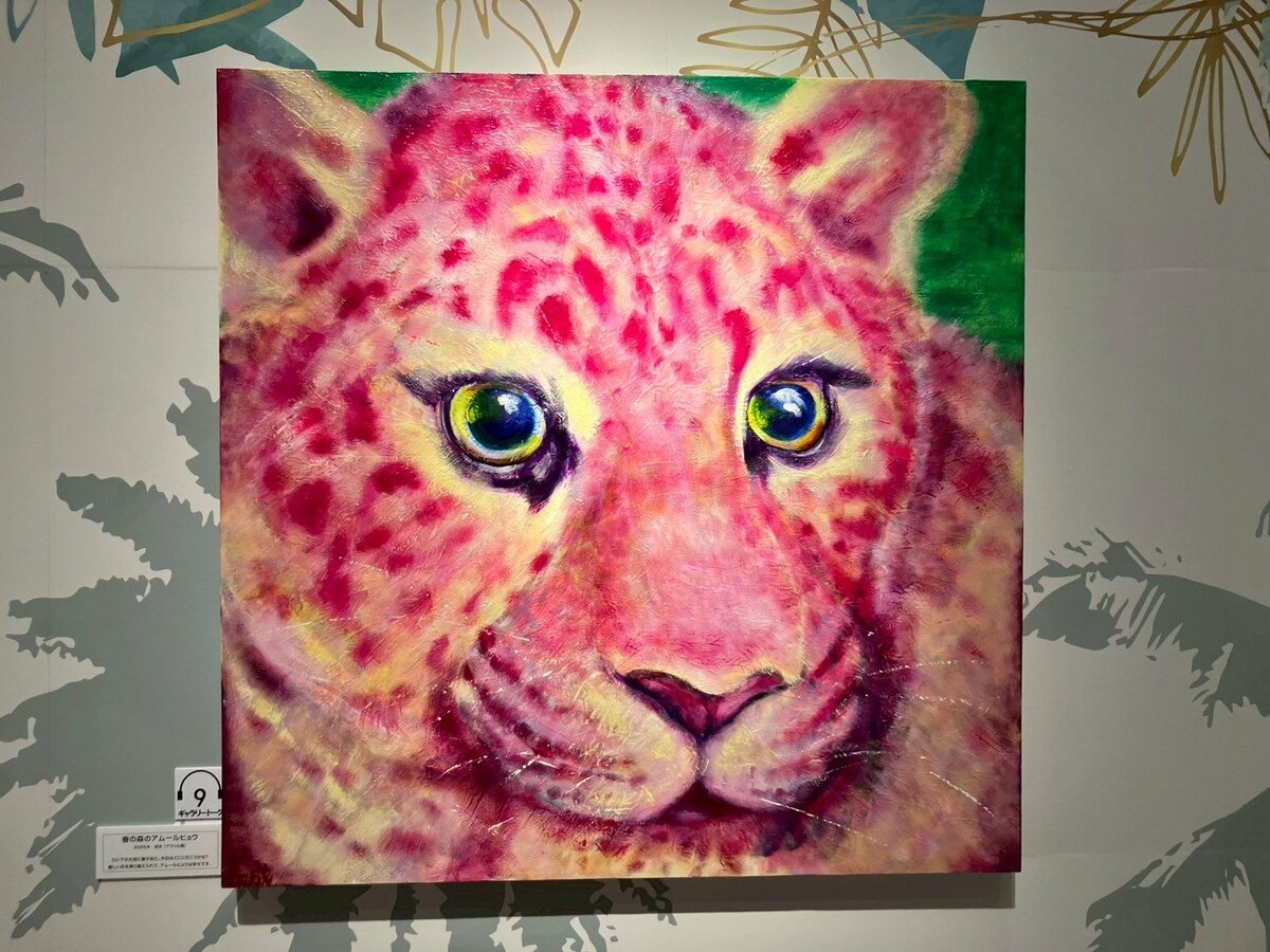 動物画家 石村嘉成さんの新作「ピンクのアムールヒョウ」など約