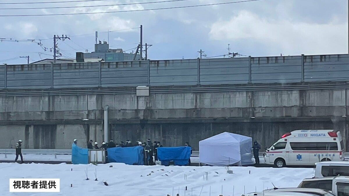 サムネイル_新潟市中央区の路上に裸の赤ちゃんの遺体 警察は死体遺棄容疑などを視野に捜査【現地からのレポートあり】