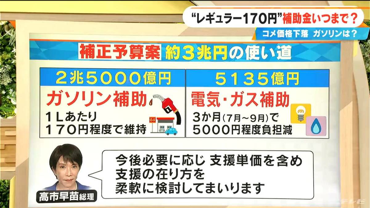 コメ価格は下落もガソリン価格は高騰　“レギュラー170円” ガソリン補助金いつまで？ 約3兆円の補正予算案可決・成立の見通し