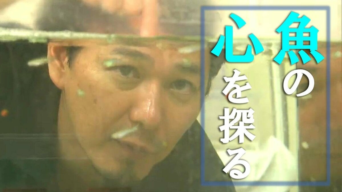 サムネイル_魚に「心」はある？  “釣られた記憶” は2か月以上保持   新潟大学・高橋宏司准教授が解き明かす『魚類心理学』　水産業にも貢献