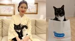 【 藤あや子 】愛猫・マルが紙袋から出る→入る「一生リピートで見てられる」　フォロワーメロメロ「これは反則だわ」|TBS NEWS DIG