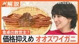 冬の味覚の“王様”ズワイガニにそっくり、都心では1杯980円「オオズワイガニ」が食卓の救世主に?【Nスタ解説】|TBS NEWS DIG