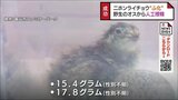 二ホンライチョウ野生オスからの人工授精でふ化成功 国内で初 富山市ファミリーパーク | 富山のニュース|天気・防災|チューリップテレビ