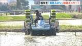 新潟県産米のトップバッター 極早生品種『葉月みのり』田植え始まる お盆前には収穫へ|TBS NEWS DIG