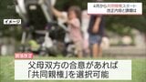 離婚後の子どもの親権を父親と母親の両方に認める「共同親権」　改正の内容と課題　|　MRTニュース ｜ ＭＲＴ宮崎放送