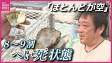 「8～9割が死んだ」広島・呉の牡蠣に深刻な異変　原因不明の「へい死」が養殖業者を襲い出荷困難に ふるさと納税の返礼品も一時停止|TBS NEWS DIG