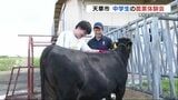 意外と難しい?牛のブラッシング 中学生が農業高校で授業を体験 熊本 | 熊本のニュース|RKK NEWS|RKK熊本放送