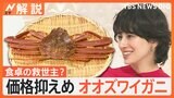 冬の味覚の“王様”ズワイガニにそっくり、都心では1杯980円「オオズワイガニ」が食卓の救世主に？【Nスタ解説】|TBS NEWS DIG