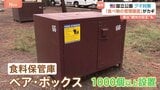 アメリカ・ヨセミテ国立公園でクマ対策に厳格ルール 徹底した食べ物管理や“最大78万円の罰金”も 背景に『過去への反省』|TBS NEWS DIG
