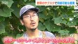 “野菜のサブスク”で「世界一おいしいごはんを食べられる新潟をつくる」 農家と消費者がともに“未来の農業”を目指して | 新潟のニュース・天気|BSN NEWS|BSN新潟放送