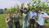 ブドウ栽培からワイン醸造、販売まで 学生が一から手作り 約700本を瓶詰 山梨大学|TBS NEWS DIG