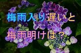 東北南部が平年より8日遅く梅雨入り 「梅雨入り遅いと梅雨明けも遅れる?」 調べてみると意外な結果に | 宮城のニュース│tbc NEWS│tbc東北放送