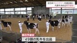 10年ぶりに開催 全日本ホルスタイン共進会宮崎県予選 | MRTニュース | MRT宮崎放送