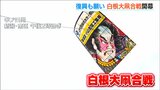 「能登半島地震からの復興祈願の大凧も空高く」300年の伝統 白根大凧合戦が開幕|TBS NEWS DIG