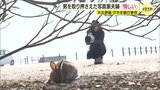「『うさぎが可愛くてやった』と支離滅裂なことを…」男を取り押さえた写真家夫婦が語る一部始終 うさぎを蹴った男 “うさぎの島”でのウサギ大量死に関与の可能性 広島・大久野島|TBS NEWS DIG