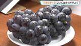 1房35~40粒に厳選! 「黒い真珠」は生育良好 生産組合が知事を表敬 広島|TBS NEWS DIG