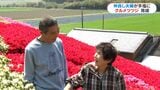 さつま町80代夫婦のクルメツツジ見ごろ 花に水泳にバイクに…趣味が一緒の仲良し夫婦 | 鹿児島のニュース|MBC NEWS|南日本放送