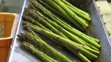 特産のアスパラガスが関東の市場に向けて出発 今年は1週間ほど生育早く 岩手・北上市|TBS NEWS DIG