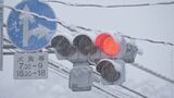栃木県で大雪警報　宇都宮では積雪12センチ観測　車のスタックや線路で倒竹など交通にも影響|TBS NEWS DIG