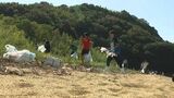 「自分ごととして思えた」トップアスリートが海ごみの分別や清掃を体験 日本財団などが海ごみ問題を啓発【岡山】|TBS NEWS DIG