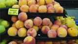 全国桃サミット 産地間の連携強化を呼びかけ アメリカ産モモの輸入解禁協議の報告も 山梨 | 山梨のニュース | UTYテレビ山梨