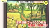 JA新米集荷金額 コシヒカリ1等米で去年より5割あまり高く 生産者と消費者が考えるコメの適正価格は? 広島|TBS NEWS DIG