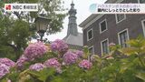 《彩りの季節》ハウステンボスの「あじさい」が見ごろ　|　長崎のニュース | 天気 | NBC長崎放送