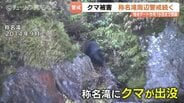 称名滝でクマ被害相次ぐ…遊歩道は19日まで通行止め【過去の出没映像も】町職員と猟友会らが現場周辺を捜索 警戒続く 富山・立山町　|　富山のニュース｜天気・防災｜チューリップテレビ
