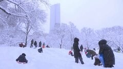 大雪のNY　雪合戦か暴行事件か？　警察官に雪玉を投げけがをさせた容疑で捜査| TBS CROSS DIG with Bloomberg
