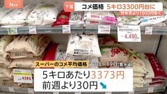 4週連続で値下がり コメ価格3373円 去年末より1000円程度安く| TBS CROSS DIG with Bloomberg