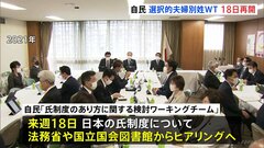 【独自】選択的夫婦別姓を議論するワーキングチーム　3年以上休眠状態だったが18日再開　自民党| TBS CROSS DIG with Bloomberg