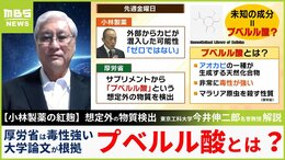 【プベルル酸】「毒性が強いと言い切るのは難しい」マウス５匹中４匹死んだ...論文は「マラリア感染させたマウスでの実験」小林製薬の紅麹問題　専門家の見解|TBS NEWS DIG