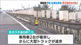 関越道で車2台が衝突事故 さらに大型トラックが追突　18歳の男子高校生死亡　新潟・小千谷市|TBS NEWS DIG