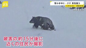 “最強寒波”到来！各地で初雪を観測 「1か月予報発表」クリスマス・年末年始の天気は？雪かき中のクマ被害も発生【news23】|TBS NEWS DIG