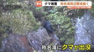 称名滝でクマ被害相次ぐ…遊歩道は19日まで通行止め【過去の出没映像も】町職員と猟友会らが現場周辺を捜索 警戒続く 富山・立山町 | 富山のニュース|天気・防災|チューリップテレビ