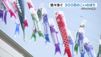 日差し浴び泳ぐ『約300匹のこいのぼり』イベントが4年ぶり開催　7メートルの大きなものも　グランメッセ熊本　|　熊本のニュース｜RKK熊本放送