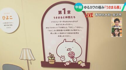 金沢で「うさまる ぴょこぴょこ まとまるよ」 貴重な原画の展示や会場