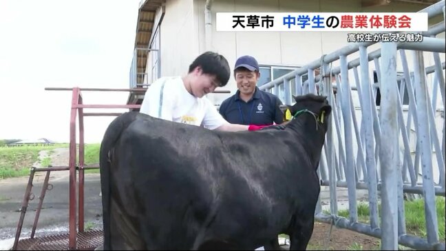 意外と難しい?牛のブラッシング 中学生が農業高校で授業を体験 熊本|TBS NEWS DIG