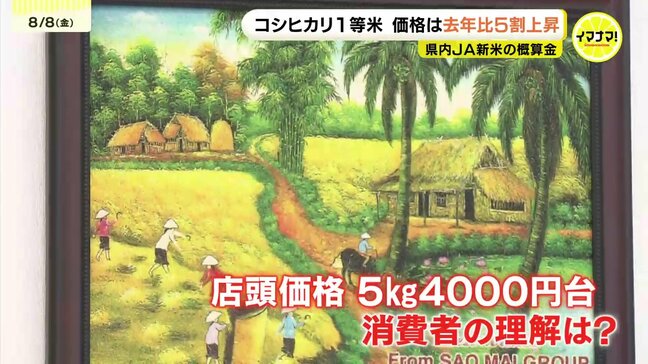 ＪＡ新米集荷金額　コシヒカリ1等米で去年より5割あまり高く　生産者と消費者が考えるコメの適正価格は？　広島|TBS NEWS DIG