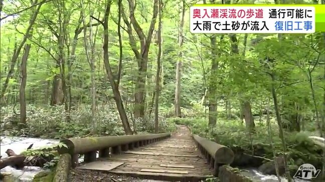 【詳報】大雨で土砂流入 通行止めだった青森県十和田市「奥入瀬渓流沿いの遊歩道」が全区間で通行再開「紅葉の時期に間に合ったことをうれしく思う」 県は年度内に本格的な復旧を終わらせる方針|TBS NEWS DIG