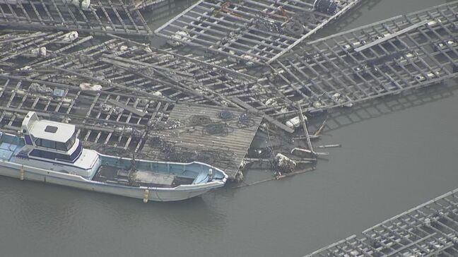 三重・鳥羽市で最大40センチの“津波被害”  流されたカキ養殖いかだ 復旧作業始まる 出荷への影響は?|TBS NEWS DIG