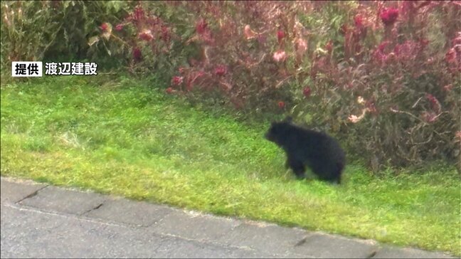建設会社の倉庫でクマが立てこもり「会社の建物に入って閉じこもった」猟友会らが捕獲に向け対応 新潟・阿賀野市|TBS NEWS DIG