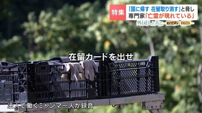 農場のイメージ画像