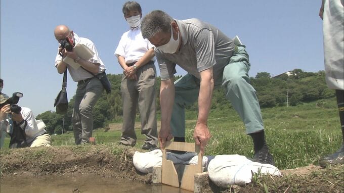 低コストな水害対策「田んぼダム」　目標面積達成さらに拡大へ　大分　|　大分のニュース｜OBS NEWS｜大分放送