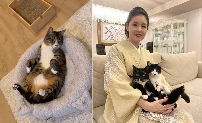 【 藤あや子 】「あれから2年」「他の臓器への転移もなく」　子宮体がんの手術を乗り越えて「この日を迎えられたことは決して当たり前ではない」感謝と決意新た|TBS NEWS DIG