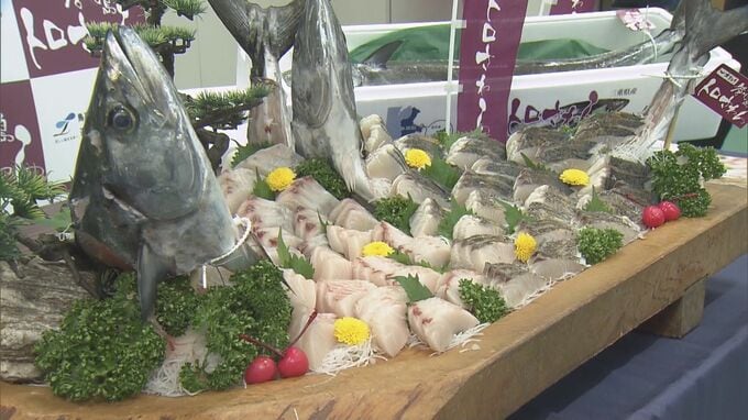 ブランド魚｢答志島トロさわら｣水揚げ始まる 1本釣りされた中から脂肪含有率や重さの基準を満たしたものを認定 この日は77本中7本 三重･鳥羽市 和具漁港　　|　名古屋・愛知・岐阜・三重のニュース【CBC news】 | CBC web