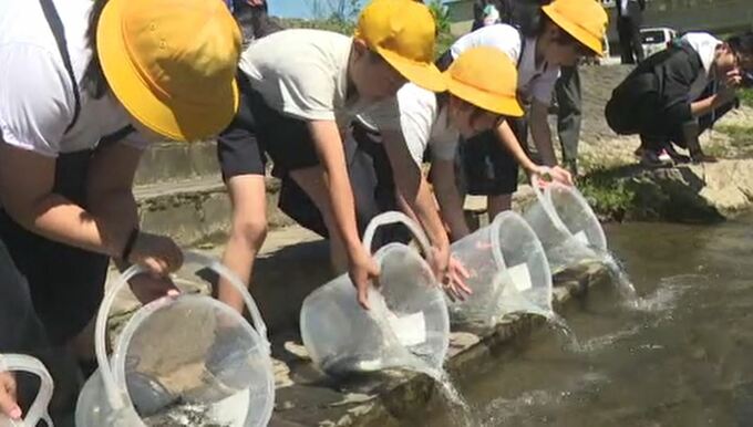 今年で25回目　地元小学生がアユの稚魚放流　石川県白山市　|　石川県のニュース｜MRO北陸放送