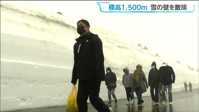 最高積雪は10ﾒｰﾄﾙ！標高1500ﾒｰﾄﾙ宮城･蔵王エコーライン「雪の壁」を散策|TBS NEWS DIG