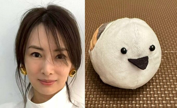 【 北川景子 】 「シマエナガが大好きな子どもたちに作りました！」　お手製「ぬいぐるみ」披露　「朝起きたら遊んでくれるかな〜」　母の愛に反響|TBS NEWS DIG